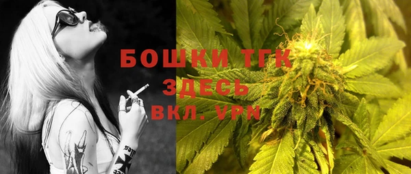 PSILOCYBIN Краснослободск