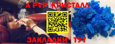 шишки Кандалакша