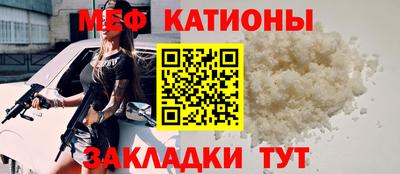 шишки Кандалакша