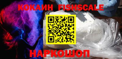 шишки Кандалакша