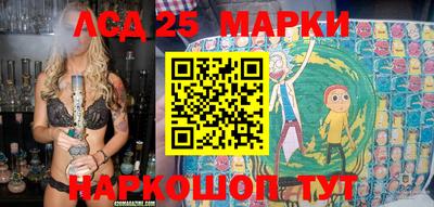 шишки Кандалакша