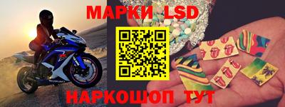 шишки Кандалакша