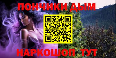 шишки Кандалакша