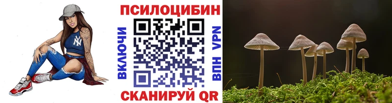 как найти   Ноябрьск  гидра ТОР  Псилоцибиновые грибы мухоморы 