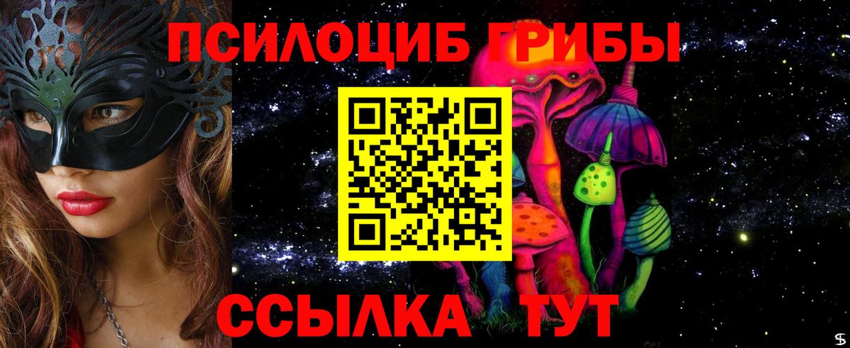 Галлюциногенные грибы прущие грибы  Вход с VPN  Ноябрьск 